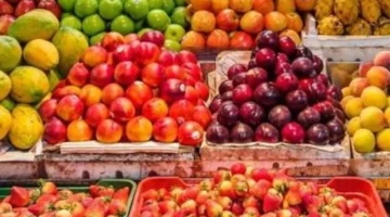 قائمة الأسعار الجديدة.. تحديث تداولات الفاكهة في الأسواق المصرية ليوم 24 يناير